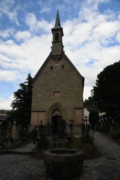 DSC_6353 (Large).JPG